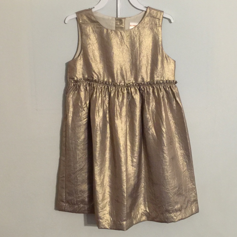 Gymboree Holiday Dress